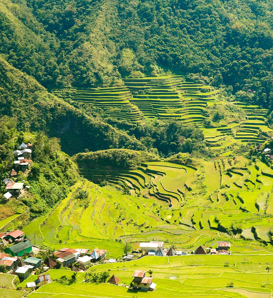 Batad Rice Terraces